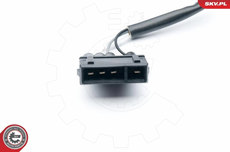 Oxygen Sensor